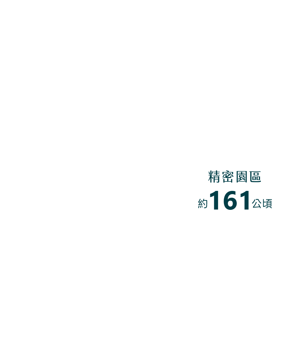 精密園區｜約161公頃